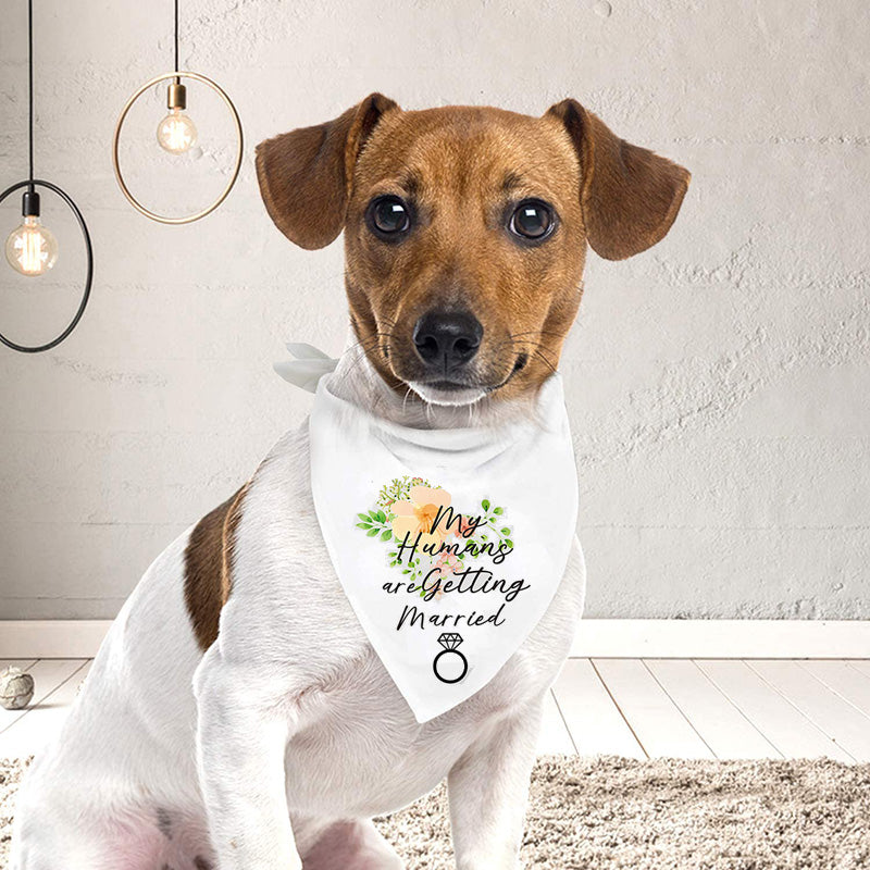 Engagement Announcement Pet Bandanas